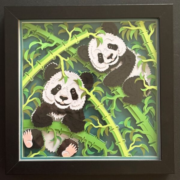 Playful Baby Pandas Shadowbox