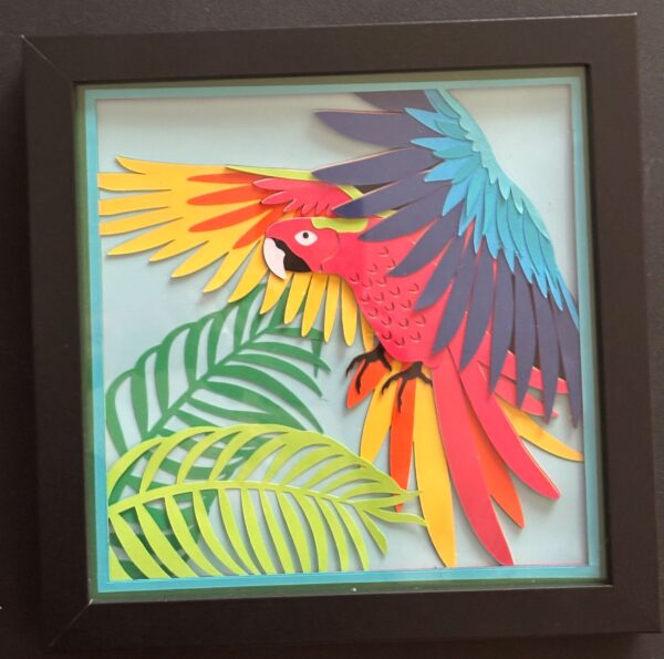 Charming Parrot Shadowbox