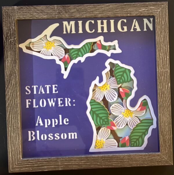 Stately Michigan Shadowbox