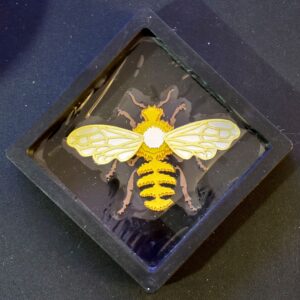 Cute Bumblebee floating frame