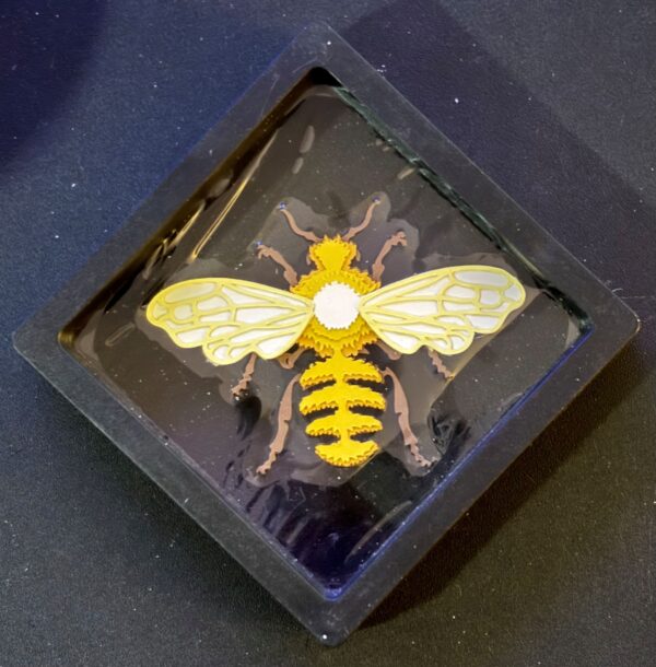 Cute Bumblebee floating frame